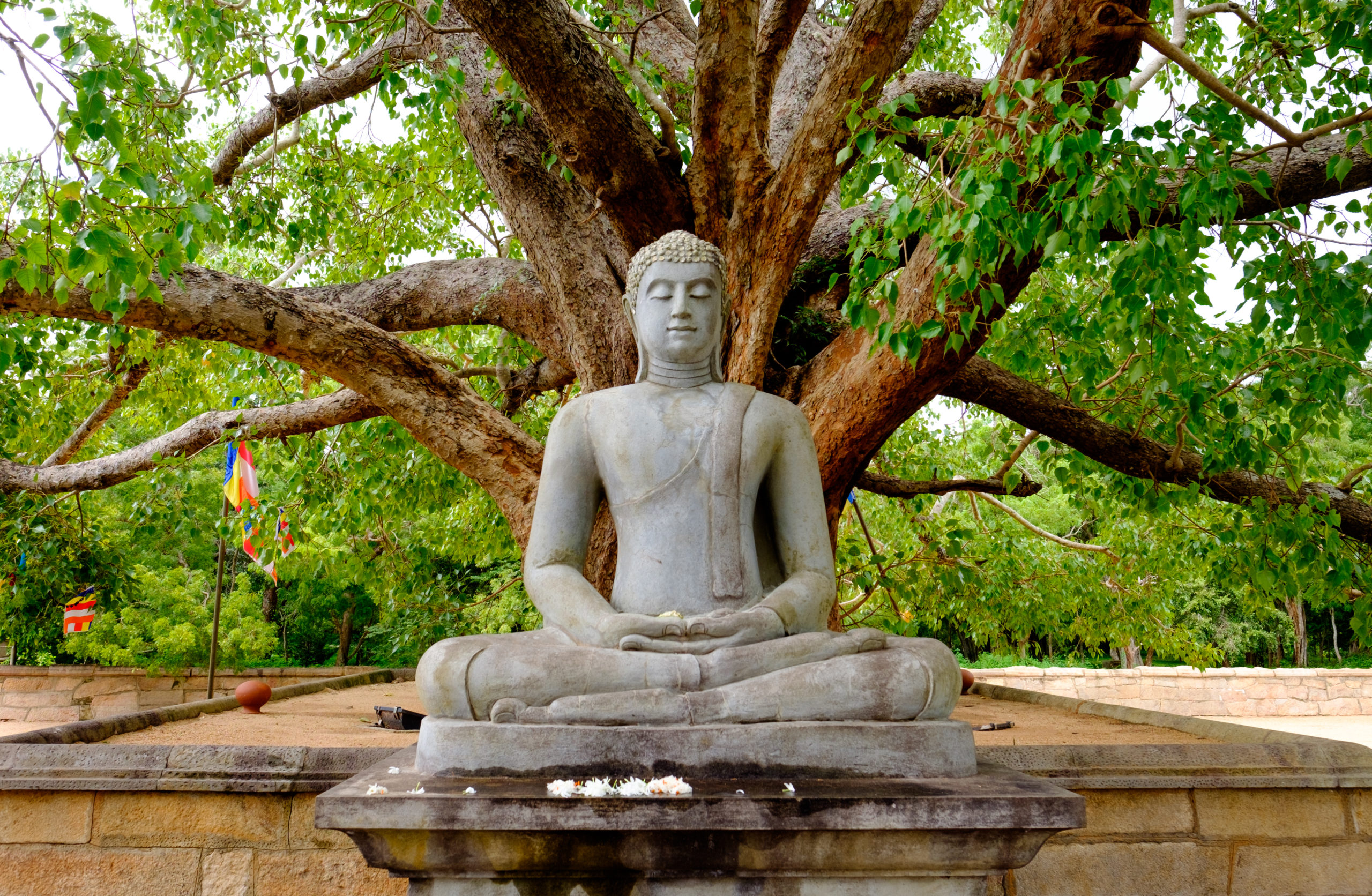 Meditation tips for daily sits